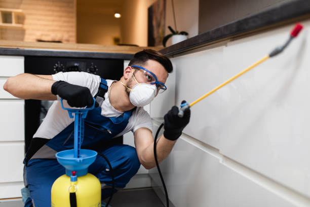 Best Best Pest Control Companies  in Galveston, IN
