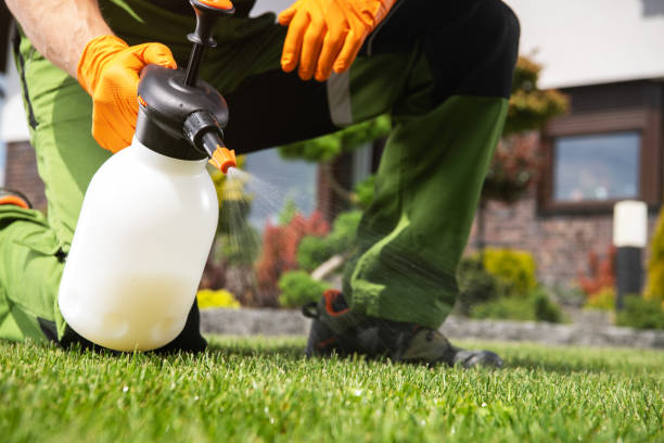 Best Wasp Removal Services  in Galveston, IN