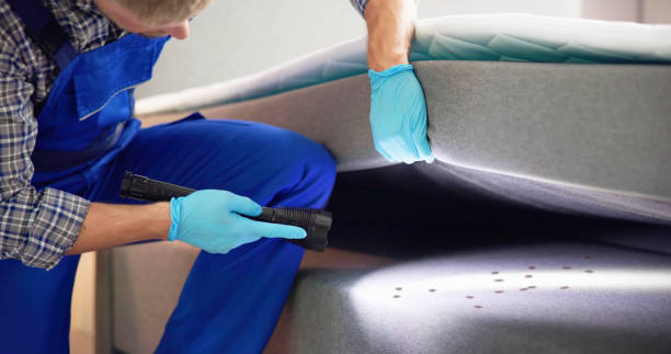 Reliable Galveston, IN Pest Control Solutions