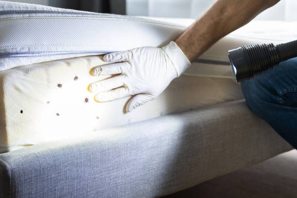 Best Bed Bug Extermination  in Galveston, IN